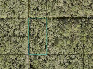0 Ruth Ave, Hastings, FL 32145