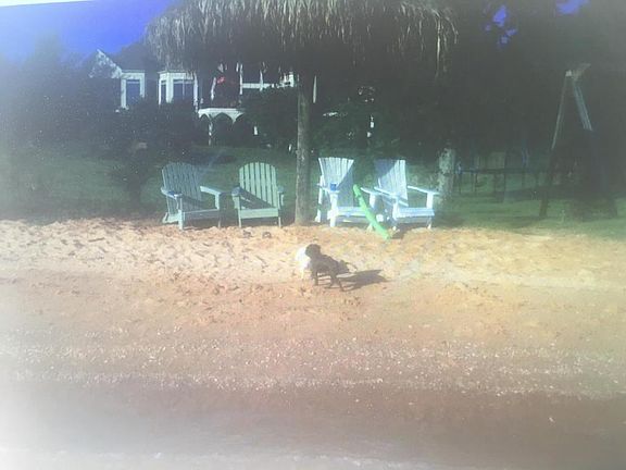 2nd image of 425 Conkinnon Dr