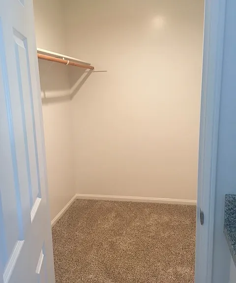 Mst Closet