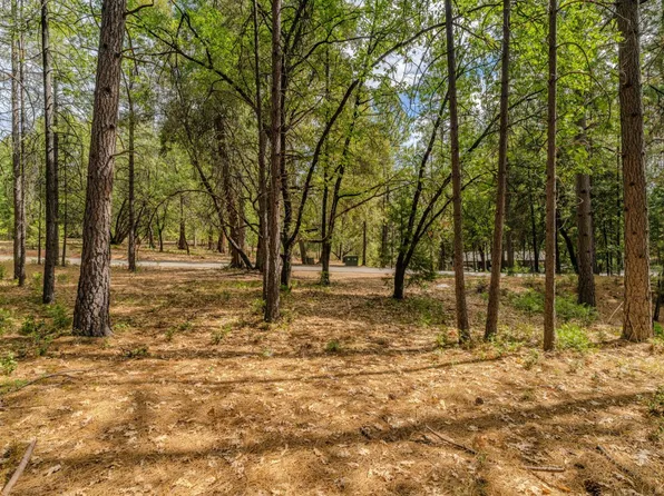 12900 Tabeaud Rd, Pine Grove, CA 95665