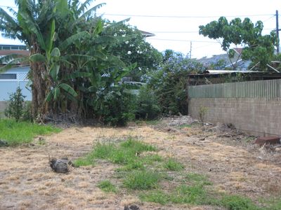 28 Olo Pl, Wailuku, HI, 96793