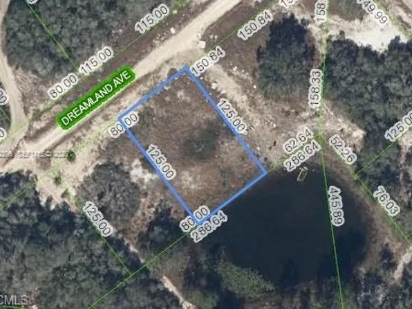 517 Dreamland Ave, Lake Placid, FL 33852