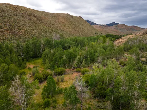 135 Bullion Gulch Rd, Hailey, ID 83333