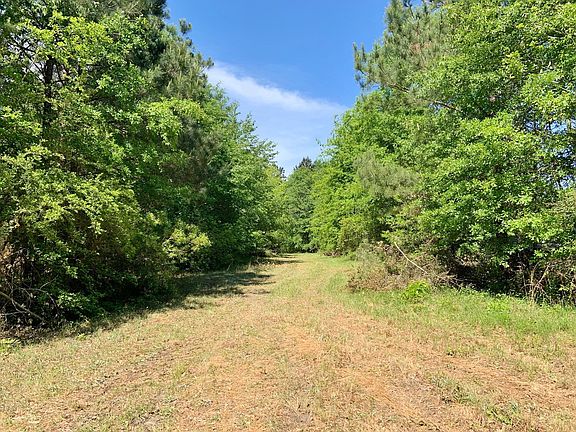 3rd image of 172 Hegwood Rd
