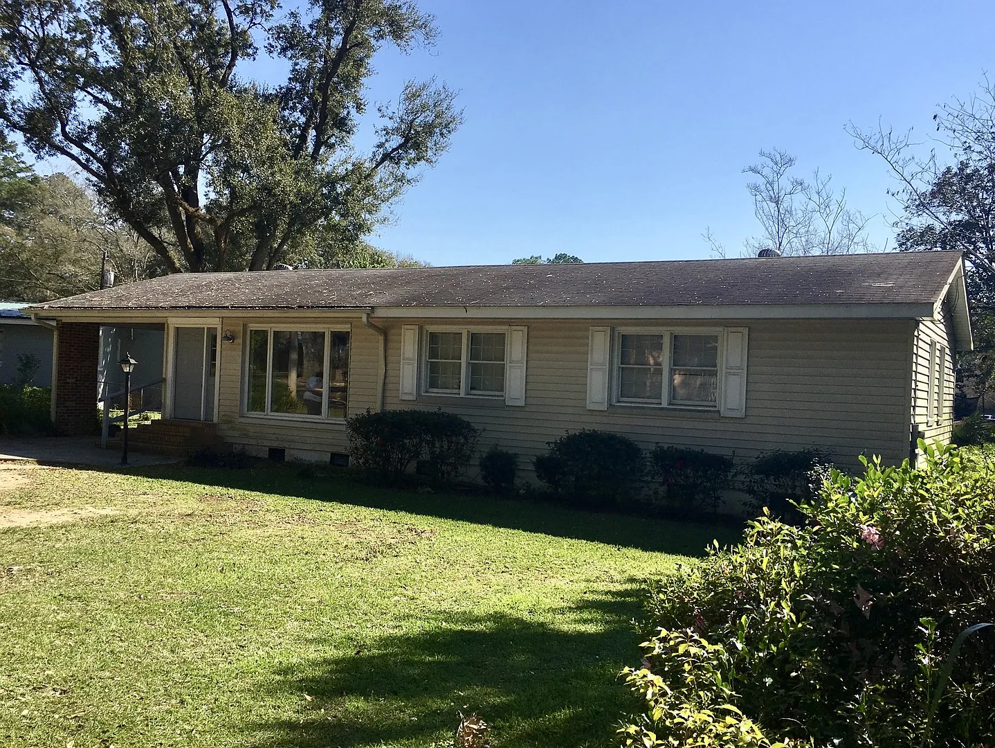 HUGE 3 Bedroom House on Crabapple for Fall 2027 — Photo 4