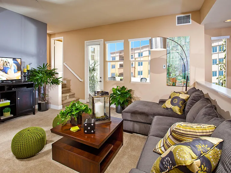 Latitude 33 — Photo 22