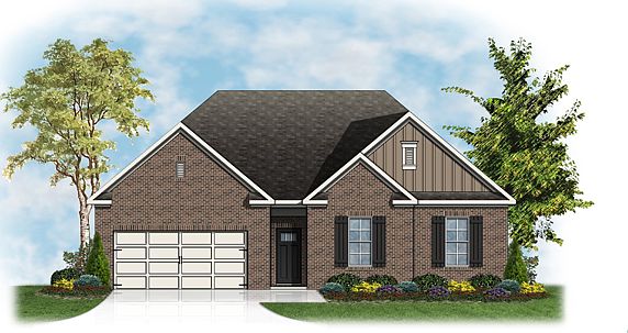 Elevation Image 0.
