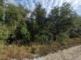 8210 Treiman Blvd #74, Webster, FL 33597