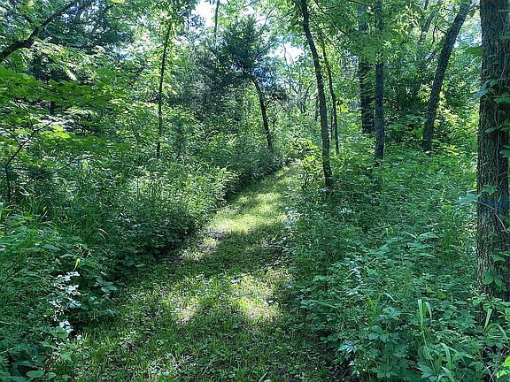 Several mowed out trails