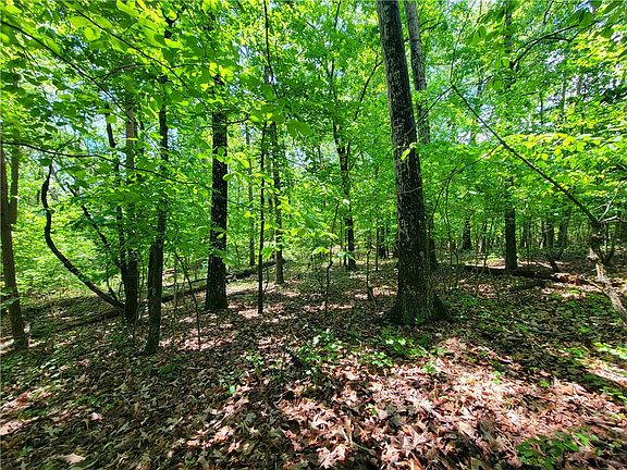 4th image of 0 Dogwood Dr