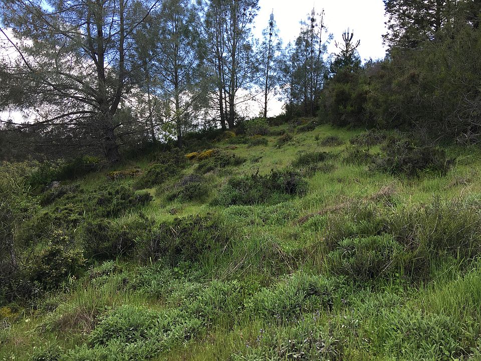 2nd image of 10801 Boren Bega Dr