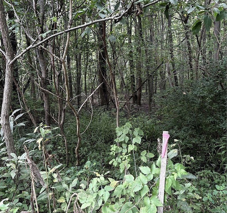 1st image of Center Rd
