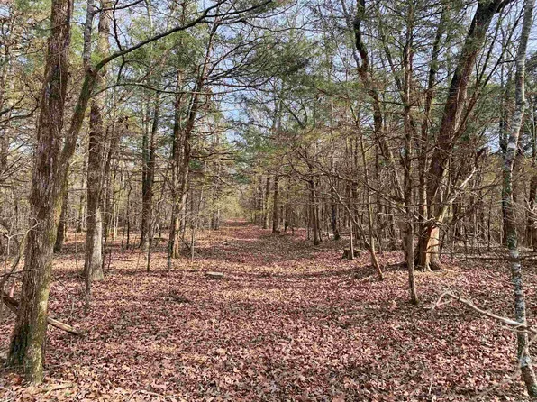 4 Buckeye Ln, Quitman, AR 72131