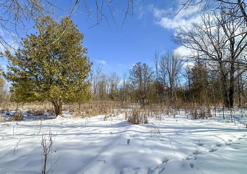 1st image of Kitter Rd