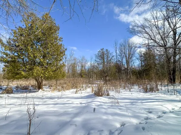 Kitter Rd, Ossineke, MI 49766