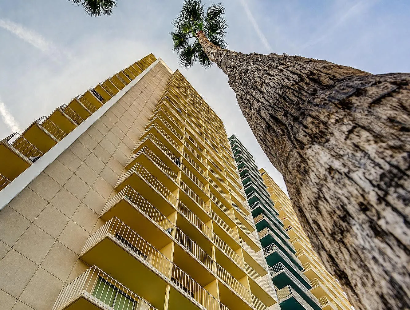 1 bed, 852 sqft, $2,300 — Photo 4