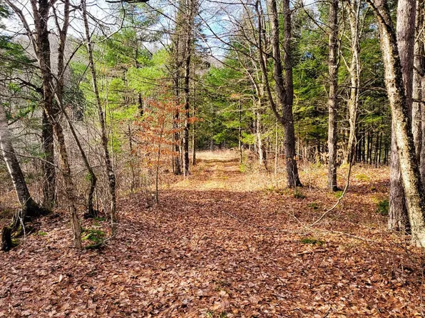 2775 Symes Pond Road, Ryegate, VT 05402