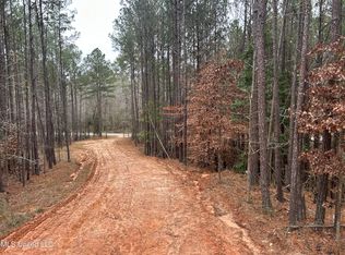 Pelahatchie Rd, Pelahatchie, MS 39145
