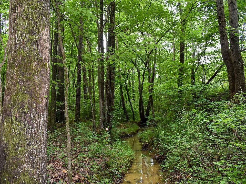 Compass South Land Sales Georgia Possom Hollow B 18