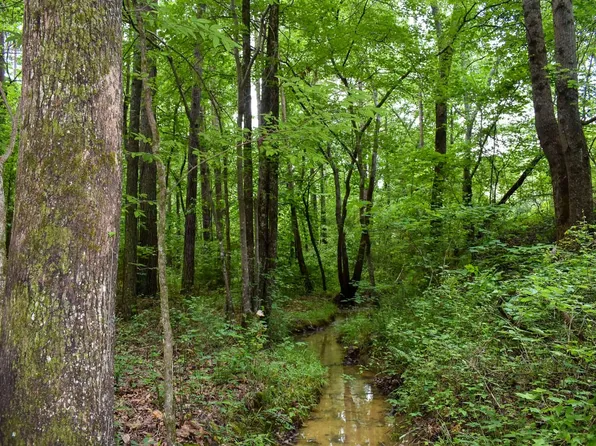 0 Possum Hollow Rd SE, Fairmount, GA 30139