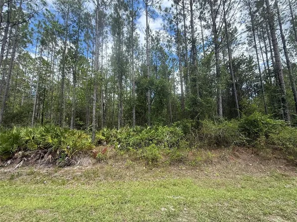 SW 89th St Lot 8, Lake Butler, FL 32054