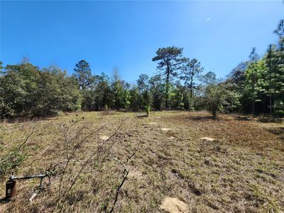2571 SW 167th Ave, Ocala, FL, 34481