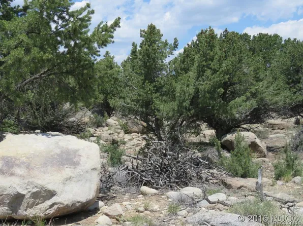 30068 Teal Run, Buena Vista, CO 81211