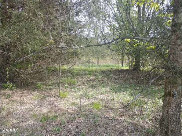 Piedmont Rd, New Market, TN 37820