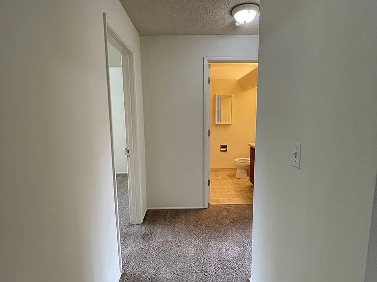 451w13 — Photo 10