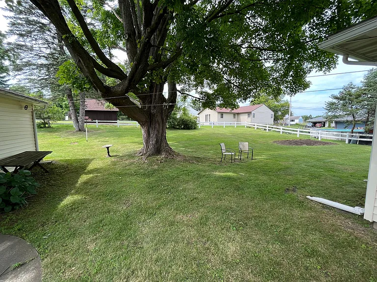 Back Yard 1