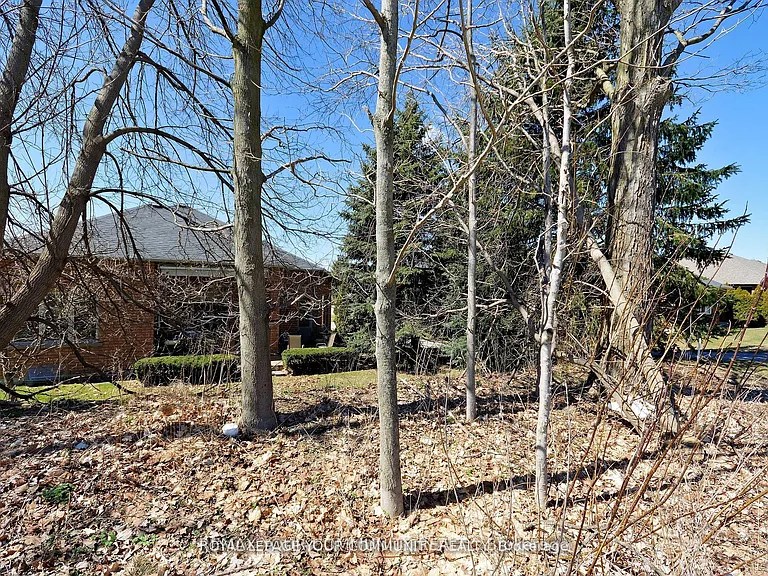 158 Legendary Trl — Photo 36