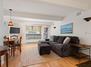 916 E Hopkins Ave UNIT 102, Aspen, CO 81611
