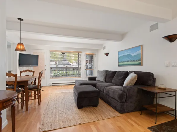 916 E Hopkins Ave Unit 102, Aspen, CO 81611