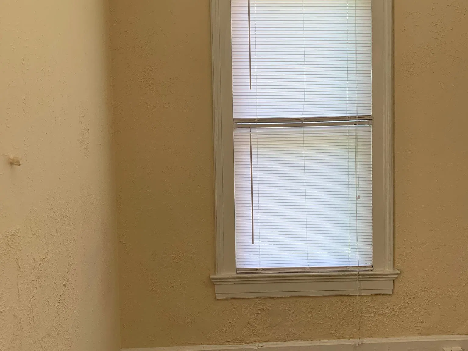 4 bed, $3,000 — Photo 4