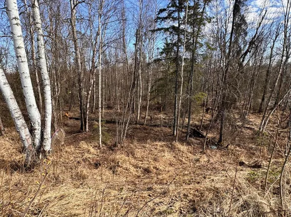 4651 S Coleman Dr, Wasilla, AK 99654