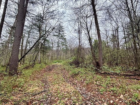 3rd image of 2093 Scott Rd
