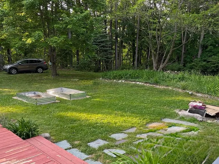 Back yard