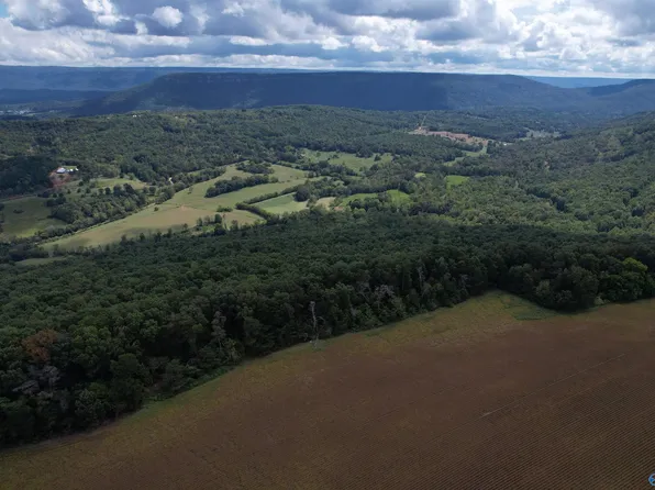 County Road 75, Flat Rock, AL 35966