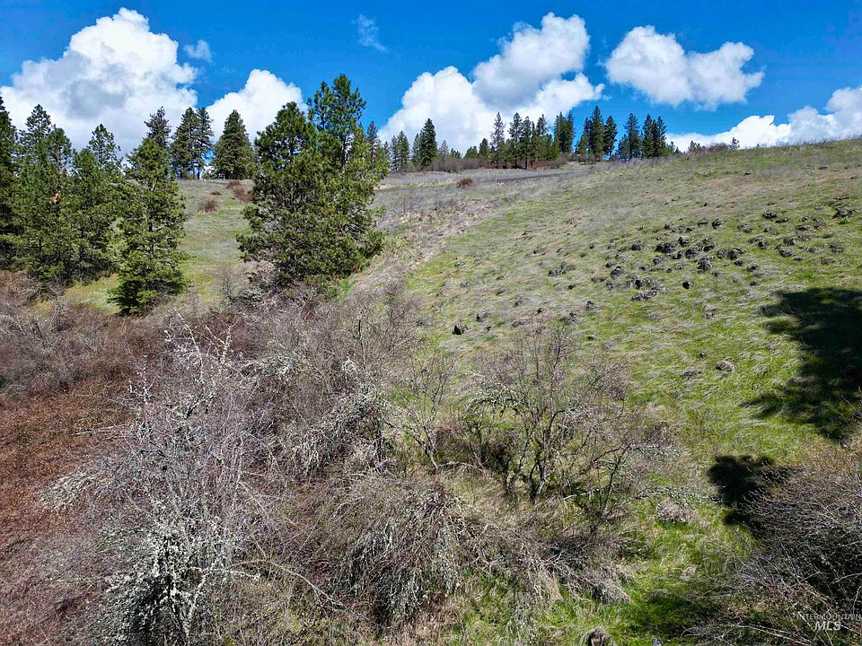 Old Peck Grade, Lenore, ID 83541 MLS 98890617 Zillow