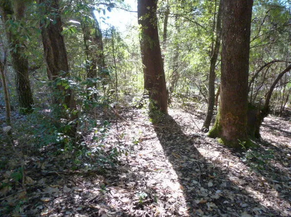 352 Tree Top Ln, Willow Creek, CA 95573