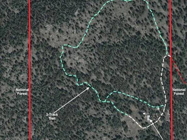 1667 Co Road 835, Bailey, CO 80421