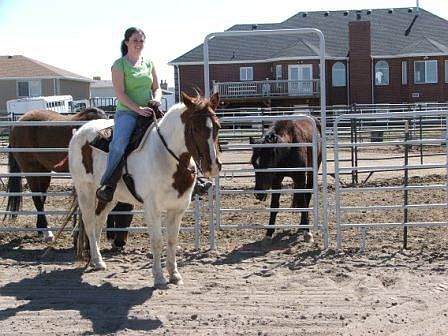 Perfect set up for horses!