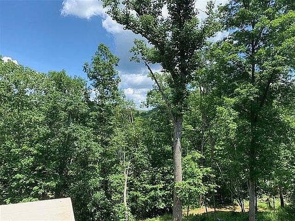 4th image of 51 Briarwood Ln