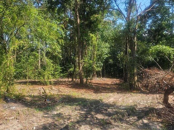 4th image of 470 Forrest Dr