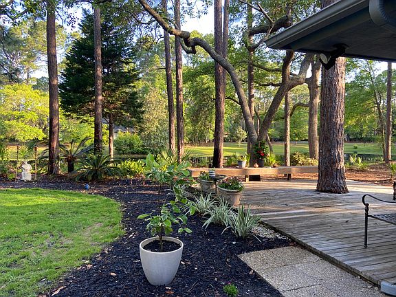 backyard & deck