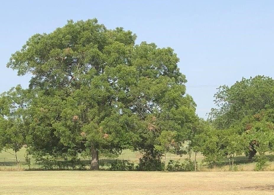 1st image of 111 Barbara Ln
