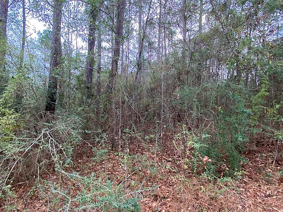 5th image of State Highway 1043