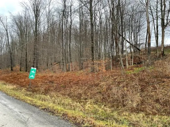0 Cherry Tree Ln, Coudersport, PA 16915
