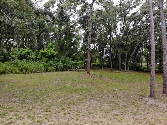 2nd image of 5081 N Apopka Vineland Rd