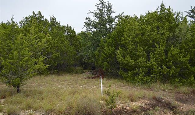 2nd image of 3609 Stillwood Ln